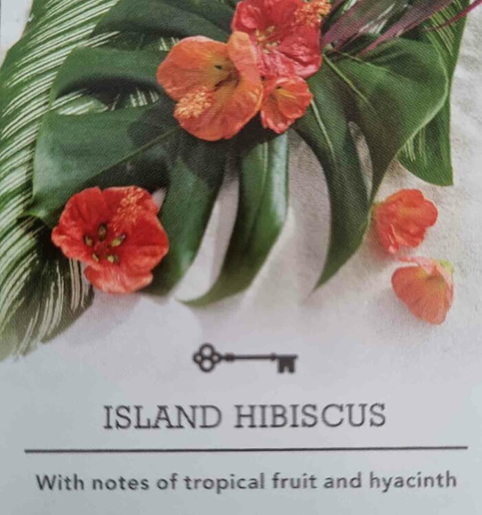 Island Hibiscus USA 22 g - Crumble vosk příslušenství