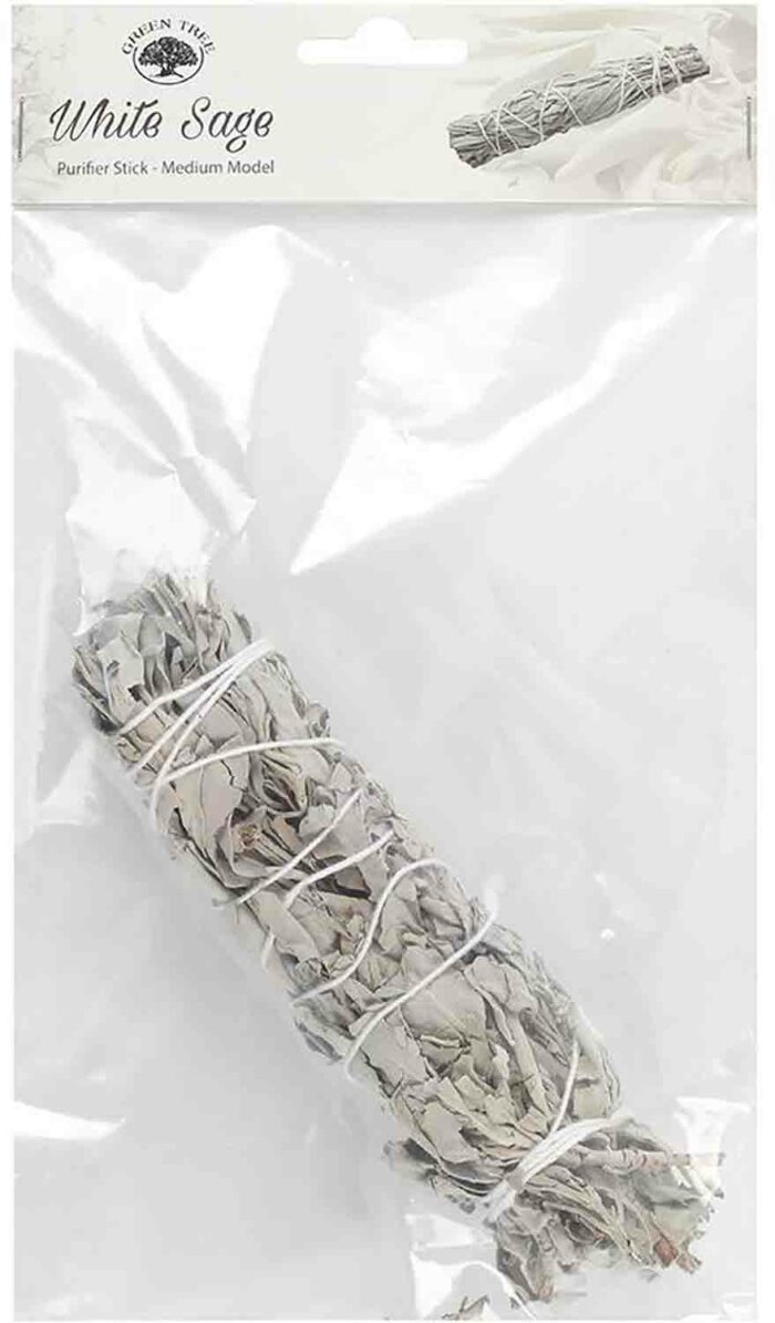 White Sage 15 cm